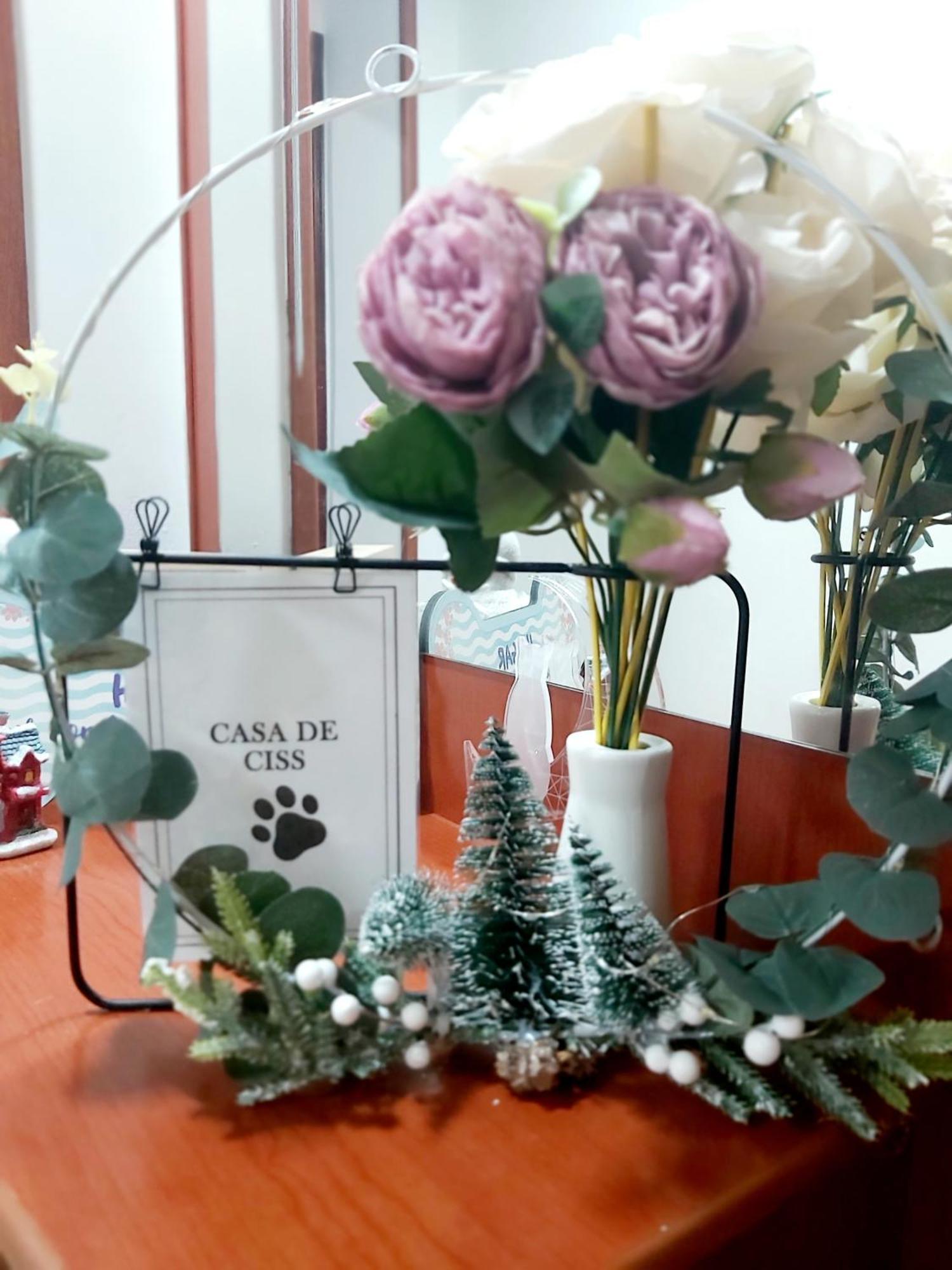Casa De Ciss Διαμέρισμα Μαδρίτη Εξωτερικό φωτογραφία